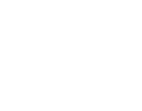 Dental Leitwerk® Logo