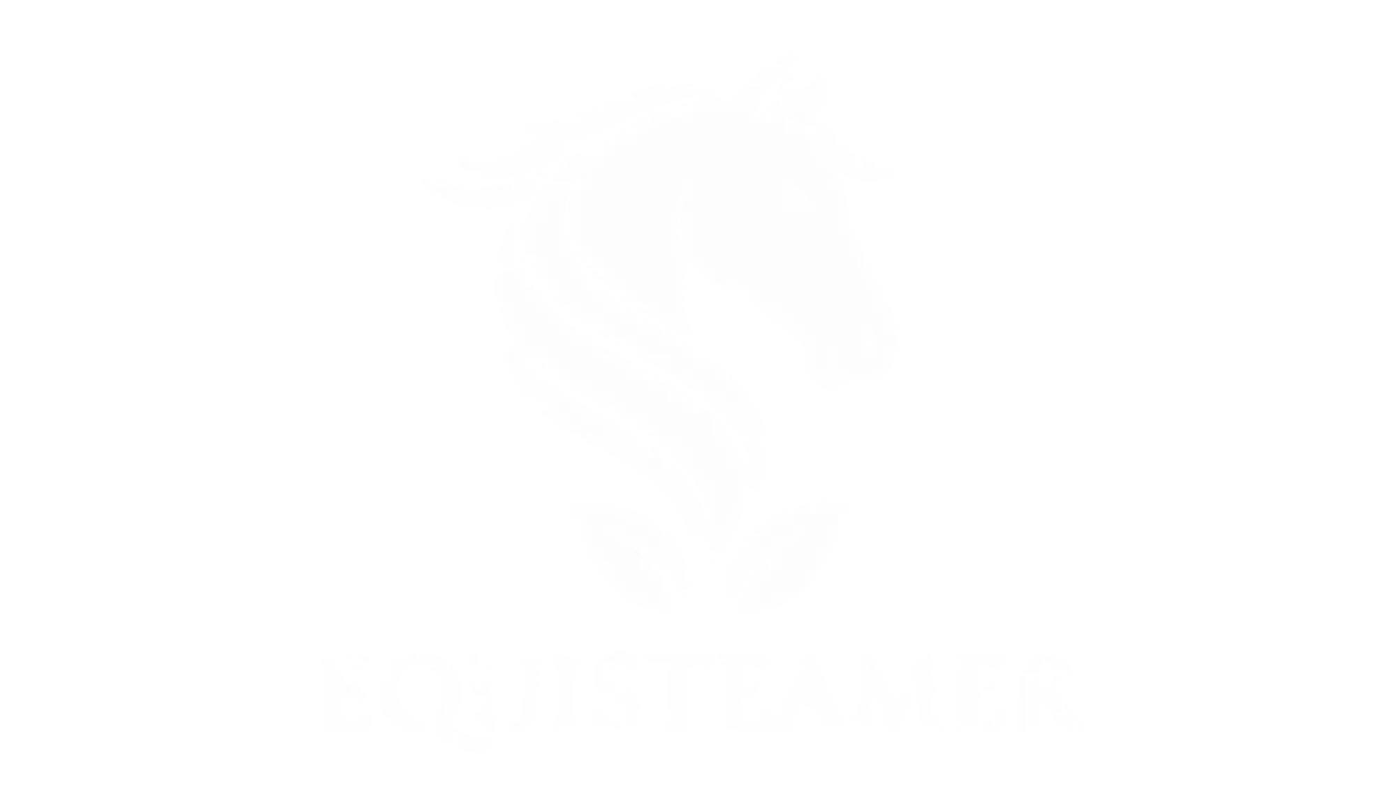 Equisteamer Logo