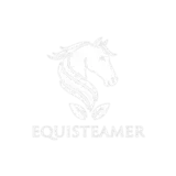 EQUISTEAMER